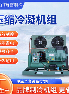 Condensing unit定制厂家冷库机组压缩机组冷库保鲜冷冻冷藏制冷