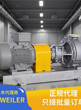 NTWH系列热油泵|导热油泵耐高温350℃质保三年免费选型高温工业泵