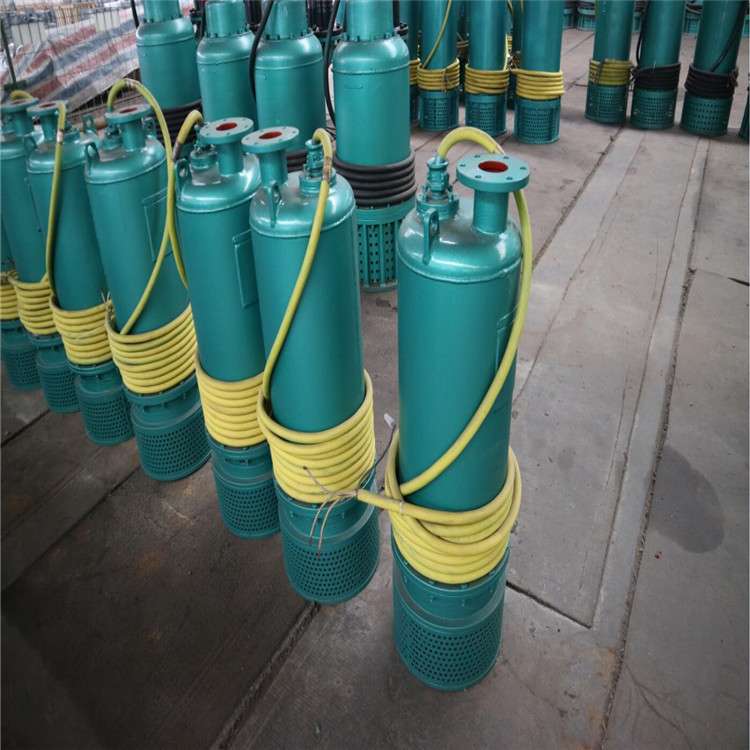 5.5KW矿用隔爆型排污排沙潜水电泵 BQS系列矿用排污泵
