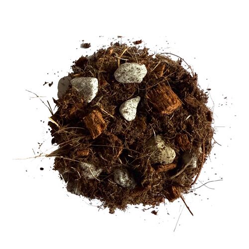 GN土常规版/观s叶植物天南星科热植专用营养土