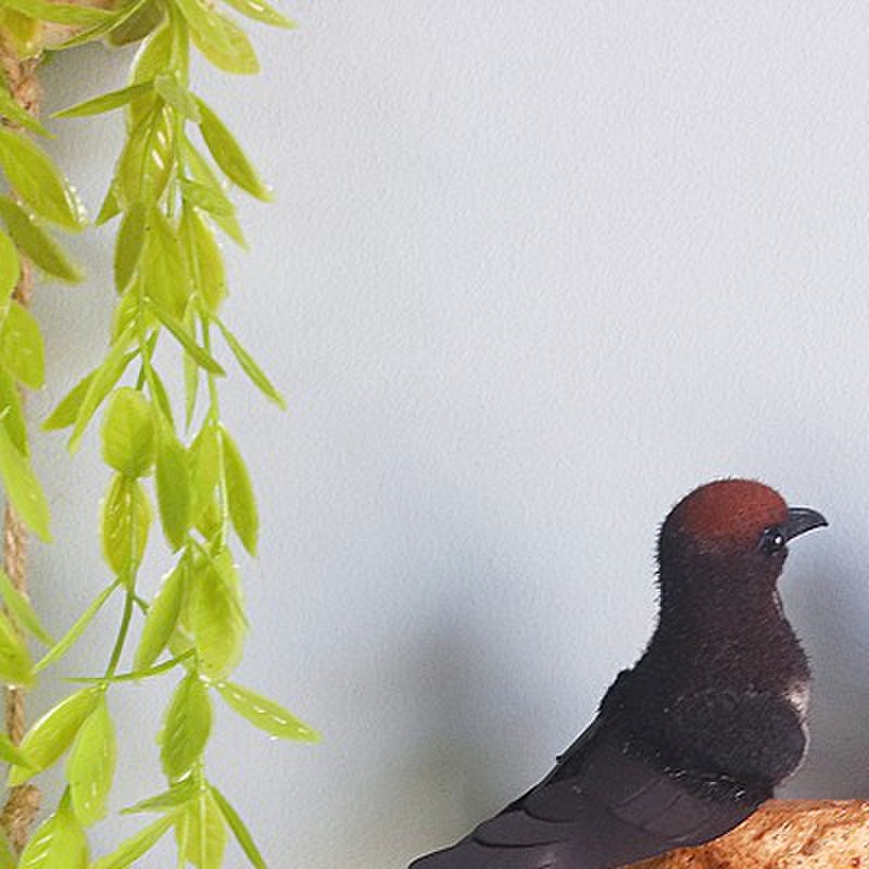 仿真燕子小鸟燕窝燕巢鸟窝春季装饰品小燕子软装饰品家居壁饰挂件