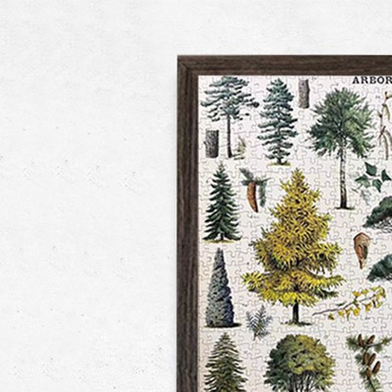 7055简约拼图框挂墙Cavallini美式复古植物园花卉1000片500片相框