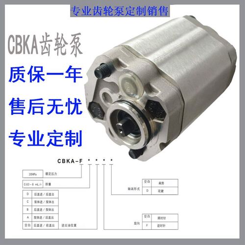 齿轮泵CaBKA-F3.7/4.8/4.2/2.6/3.2/2.1/1.6/5.8/0.75/0.5/6/5油