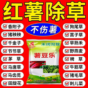 红薯地苗后除草专用剂香附子牛筋草禾阔双不伤红薯死草烂根型肥料
