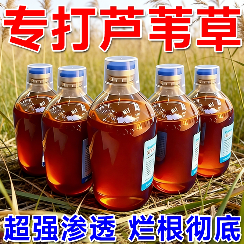 芦苇除草烂根剂专用药果园菜地除茅草恶性草不伤土壤开荒除草肥料