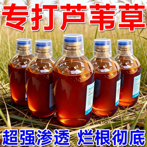 芦苇除草烂根剂专用药果园菜地除茅草恶性草不伤土壤开荒除草肥料
