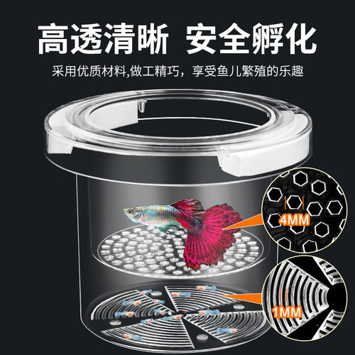 鱼缸隔离盒孔雀鱼繁殖盒凤尾斑马母鱼产房小鱼缸内胎生鱼产卵孵化