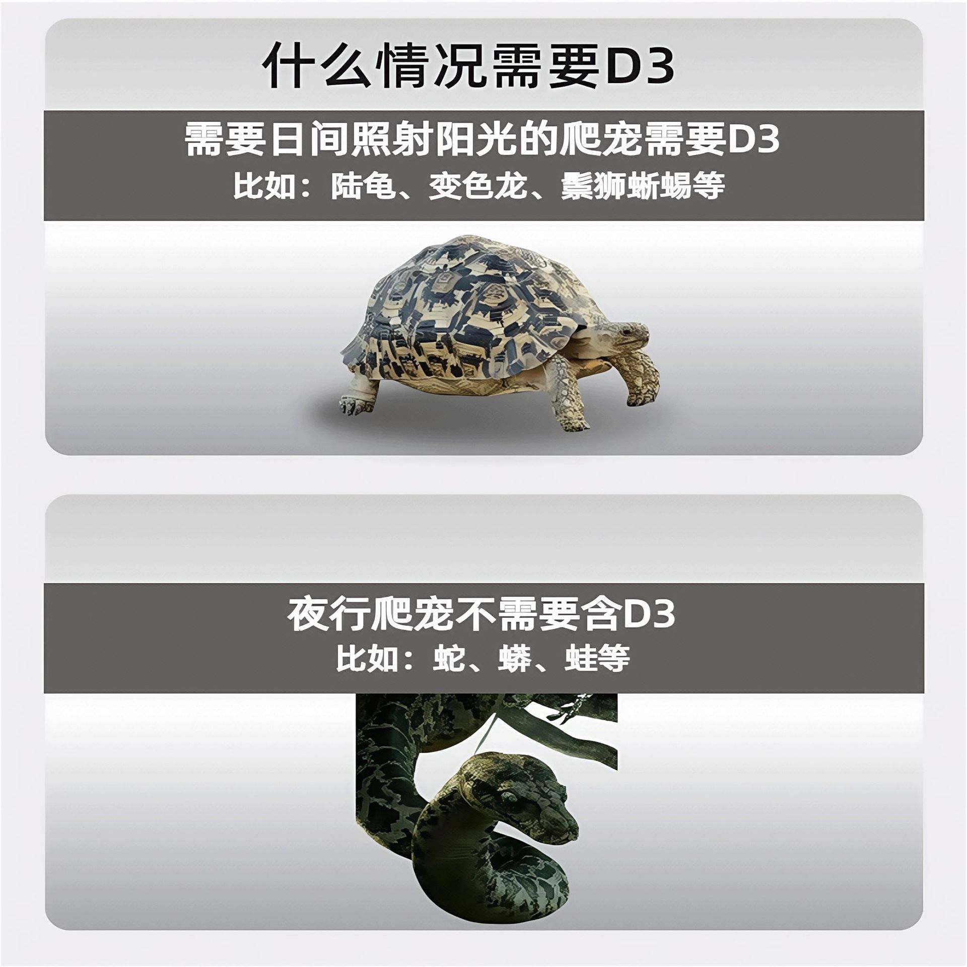 爬宠钙粉爬虫钙粉D3补钙陆龟鬃狮蜥蜴维生素维生素BAC守宫睫角