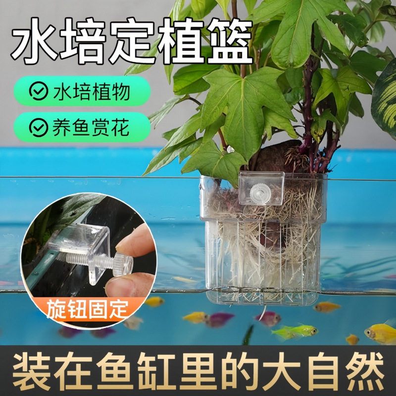 鱼缸透明水培定植篮壁挂式水草种植杯鱼缸绿植造景装饰架鱼缸挂篮图片