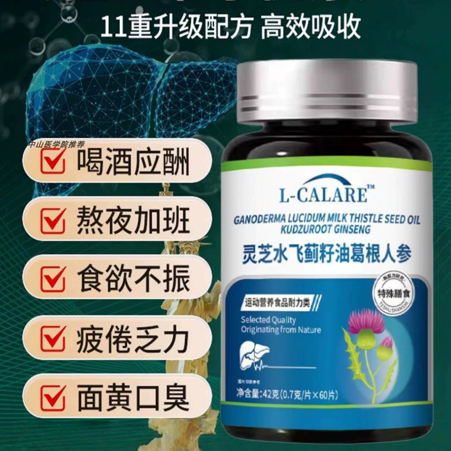 水飞蓟灵芝熬夜护肝片