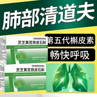 奥美宁舒肺宝灵芝黄芪槲皮素润肺养肺呼吸添活力GT