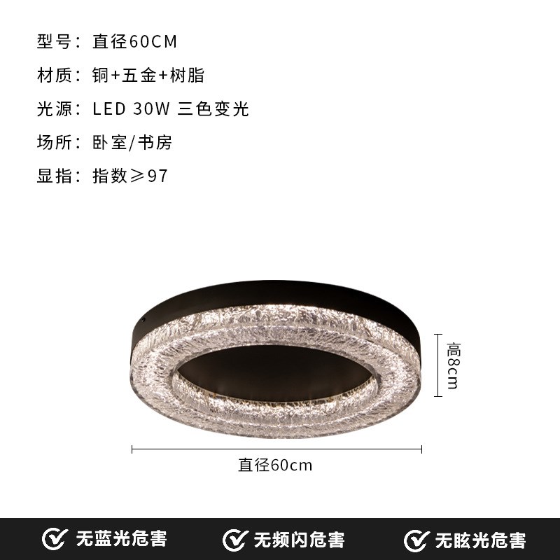 新款意式客厅吸顶灯现代简约高端设计师轻奢家用主卧室房间吸顶灯