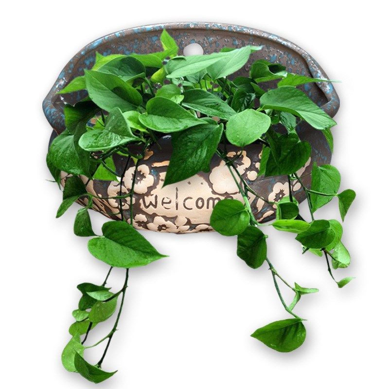 壁挂水培花器家居摆件茶桌绿萝花插花瓶陶瓷粗陶多肉植物花盆