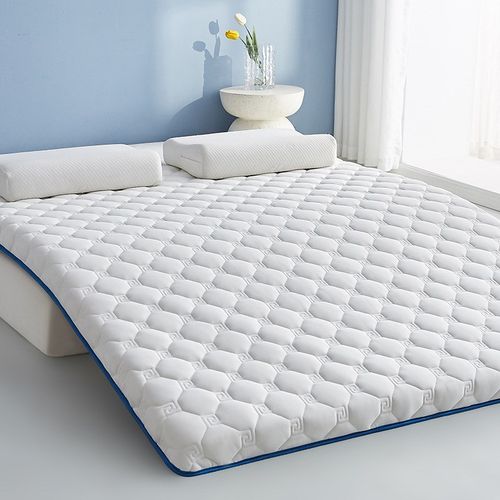 单边简约抗压棉床垫软垫家用租房专用学生宿舍榻榻米地铺睡垫床褥