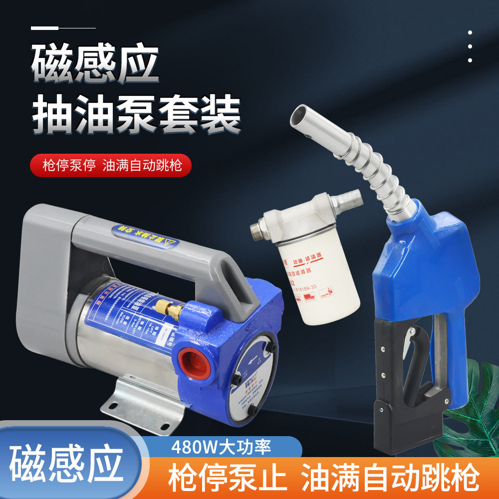 磁感应抽油油泵12v24v220v自吸抽油泵柴油泵电瓶太阳能油泵