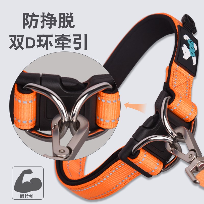 狗狗项圈脖圈结实小狗中大型犬颈套牵引刻字狗牌定制防丢泰迪柯基