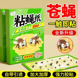 贴纸粘板 苍蝇贴强力粘蝇纸捕捉神器自带诱饵灭蝇果蝇家用粘蚊子