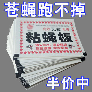 苍蝇贴强力粘苍蝇纸粘蝇板沾蚊蝇杀手捕捉器一扫光家用灭蝇子神器