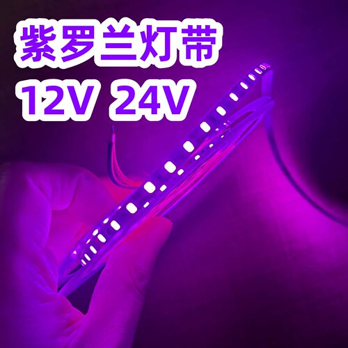紫罗兰色灯带12v24v装饰氛围灯