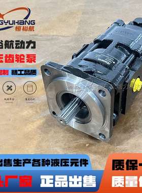 凯斯帕CASAPPA液压齿轮泵KP30.38 KP30.34油泵799137GY 85826149