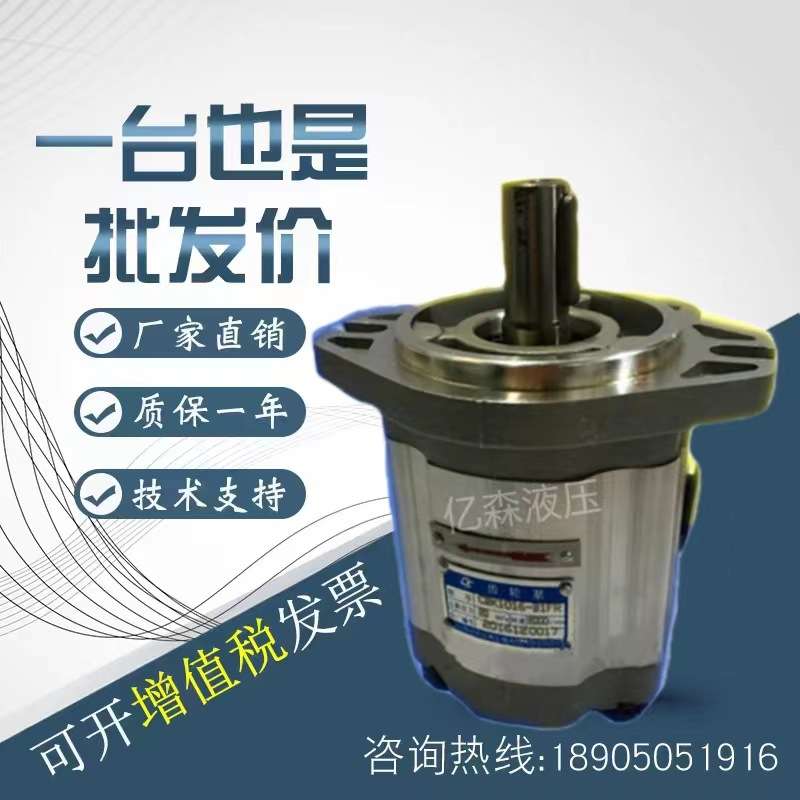 四川长江齿轮泵CBK1016-B1/B2/B3/B4/A1/A2A3/A15FR/FL规格齐全