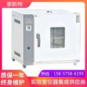 天津泰斯特WGL 30B鼓风干燥箱
