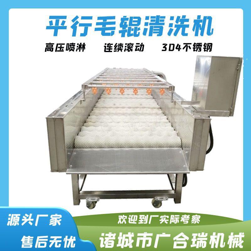 平行毛辊清洗机苹果橘子百香果清洗打蜡机小型粽叶芦苇叶清洗机
