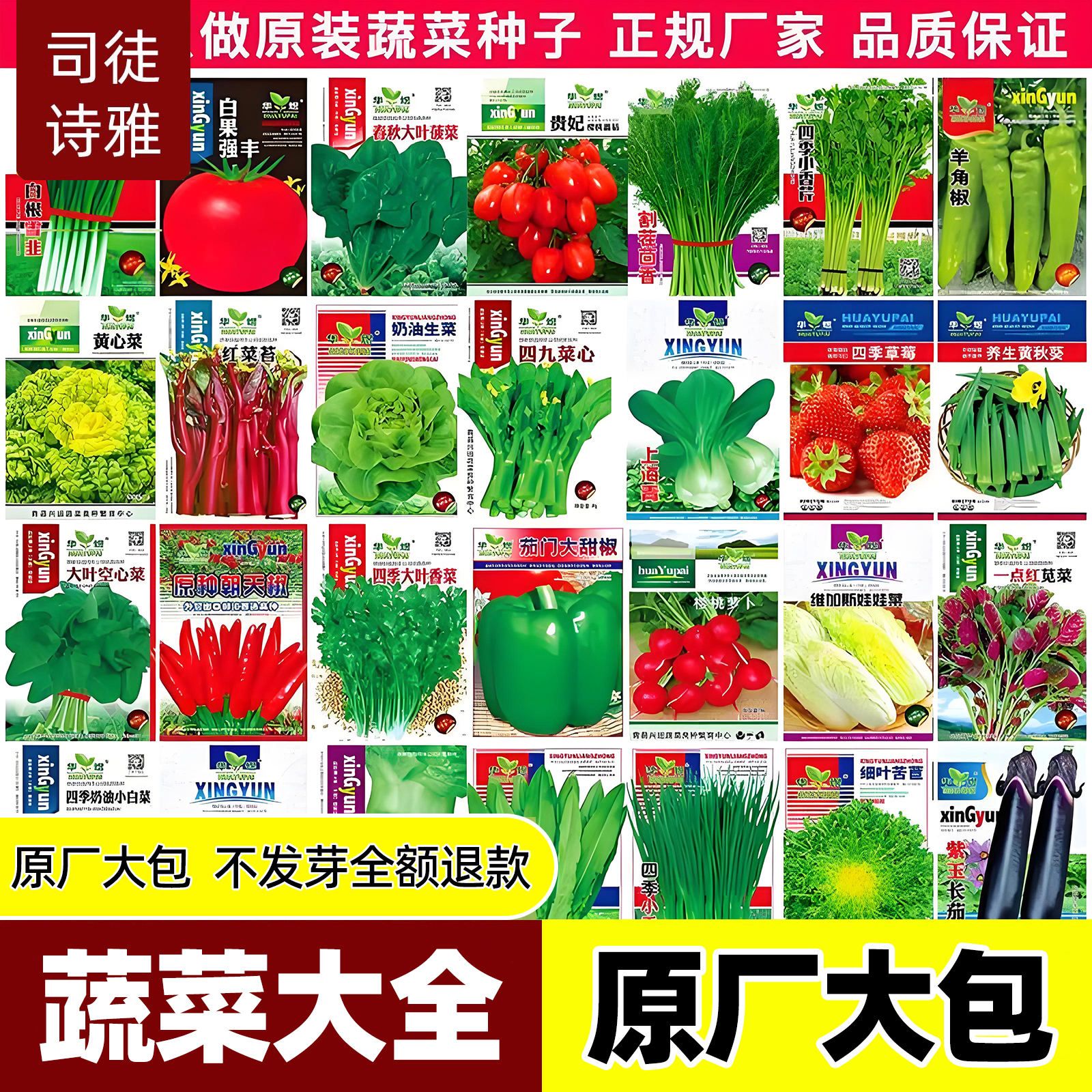 四季播种蔬菜种子四川红葱头