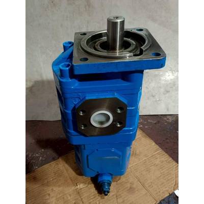 CBGJ2063/2016齿轮泵 扒渣机双联泵 打桩机三联泵 装载机 渔船泵