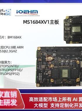 BM1684X八核AI开发主板 高算力32T学习评估板工控应用