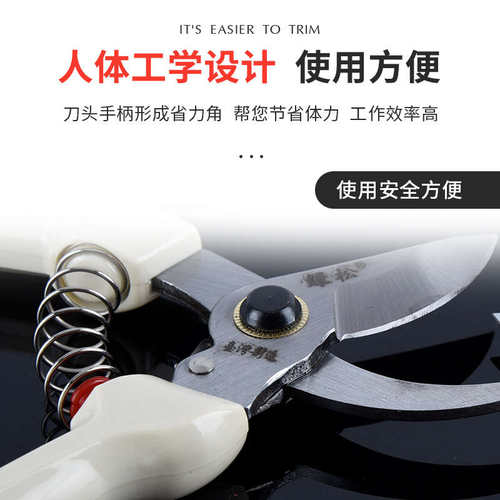 园艺手剪修花剪刀修枝剪花艺果树花卉园林树枝专用工具锋利省力