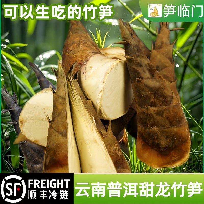 顺丰冷链云南思茅甜笋水果笋产地直发甜笋刺身笋