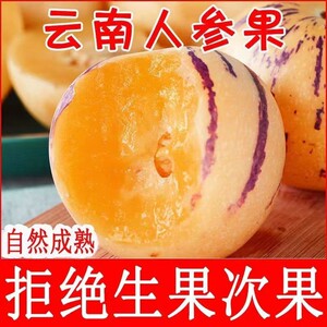 王大水专属云南石林人参果新鲜水果圆果富硒树上熟奶香清甜香甜