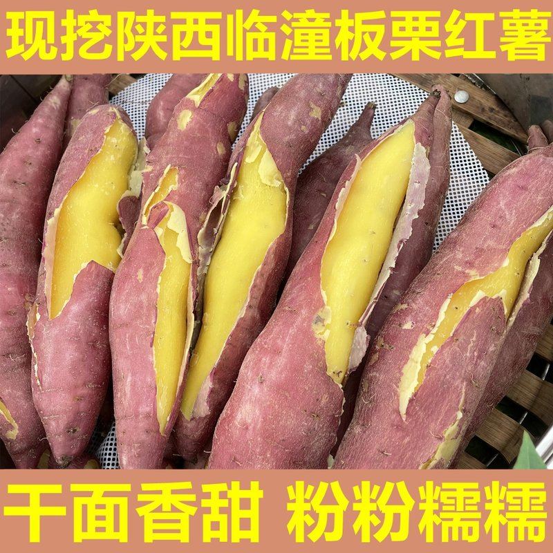 干面甜蒸烤陕西临潼沙地黄白心番薯地瓜板栗红薯番薯山芋