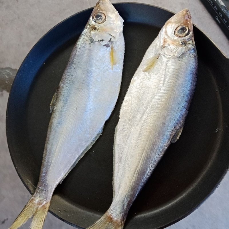 山东发货咸白鳞鱼香鱼海鱼配粥配馒头小时候味道