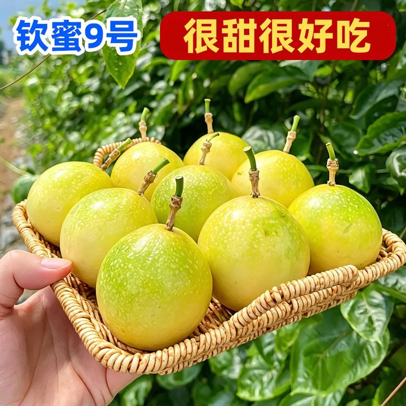 广西钦蜜9号黄金百香果热带水果整箱百香果九甜一酸坏果包赔