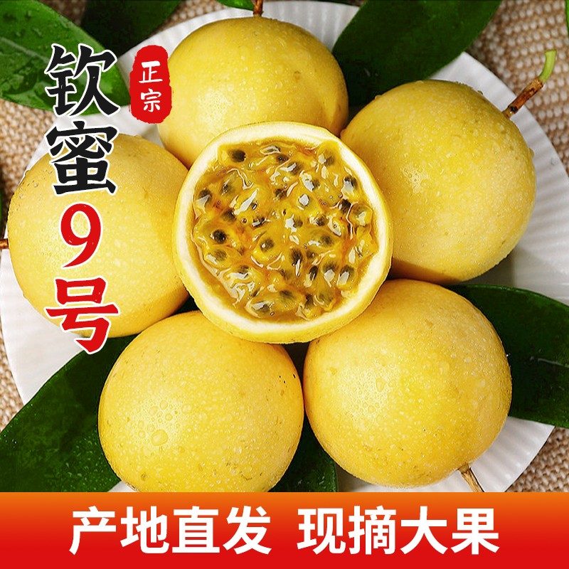 正宗钦蜜9号黄金百香果皱皮香甜当季产地新鲜水果坏果包赔zb