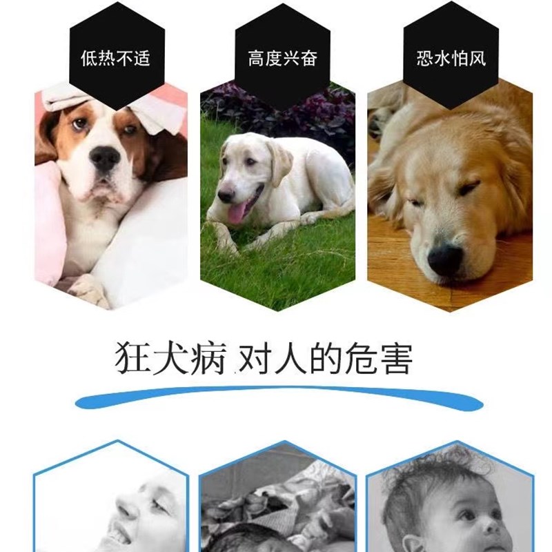 狂犬病毒检测卡猫狗通用宠物精准检测抗原咬伤抓伤狂犬病毒试剂卡