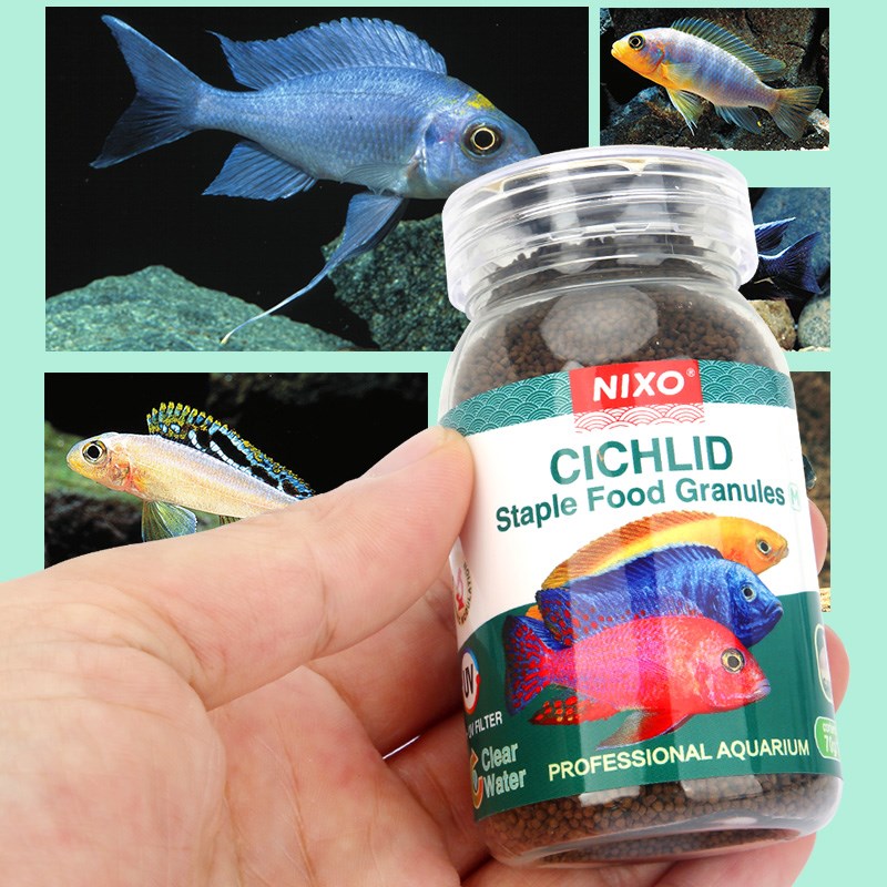 日索非洲三湖慈鲷增色粮鱼食鱼料鱼粮观赏鱼热带蒜粉浮水圆粒颗粒