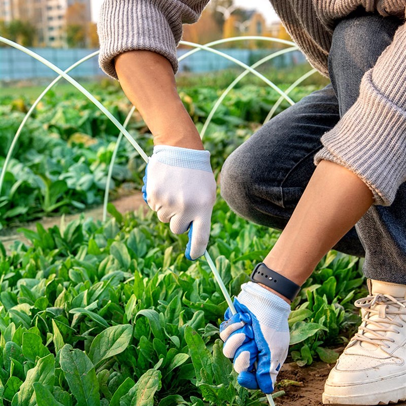 大棚骨架拱棚支架搭棚架子纤维管种菜温室杆家庭用玻璃菜棚小菜地