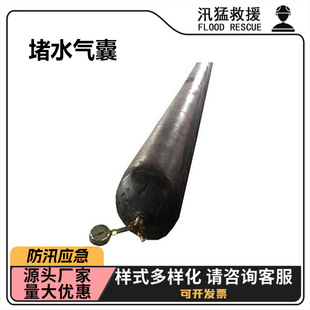市政污水管止水气囊实验用管道封堵器汛期抗洪堵水气囊