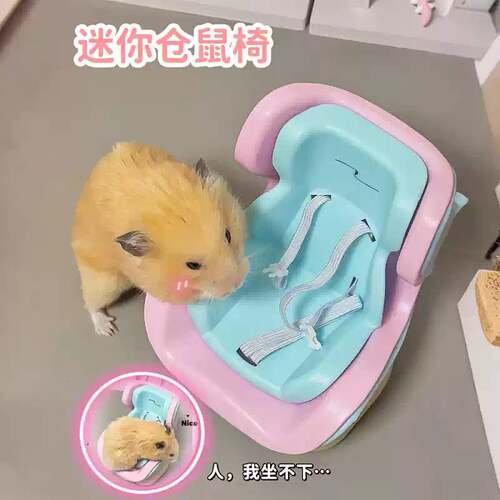 仓鼠专用高颜值车载互动座椅玩具