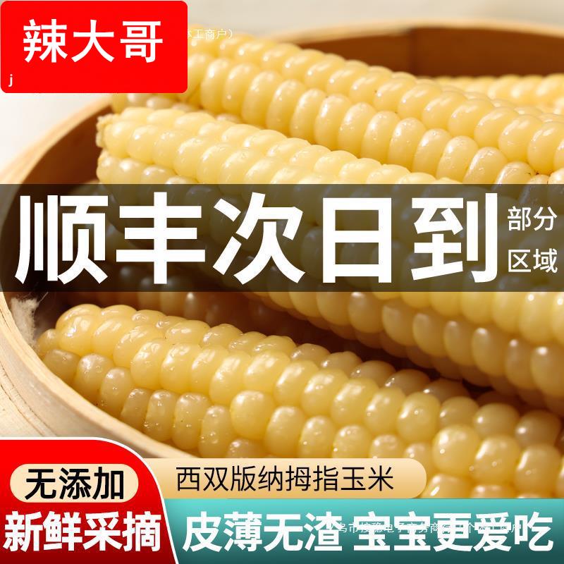 云南西双版纳拇指小玉米新鲜手指宝宝糯玉米黏早餐即食真空甜玉米