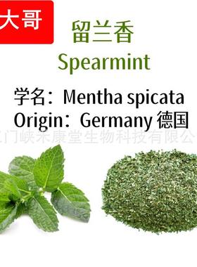 包邮留兰香薄荷茶碎散装 spearmint tea bag皱叶留兰香现货