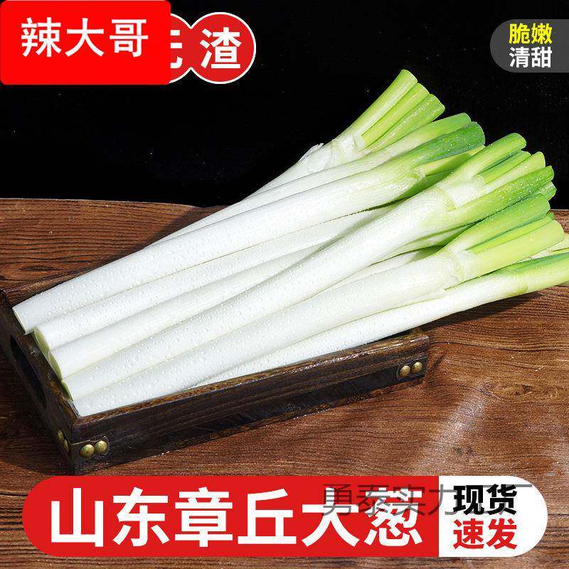 山东章丘大葱新鲜10斤铁杆大葱产甜脆小葱5斤蔬菜葱头