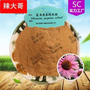 紫锥菊提取物 包邮 菊苣酸 现货 紫锥菊多酚 紫松果菊提取物