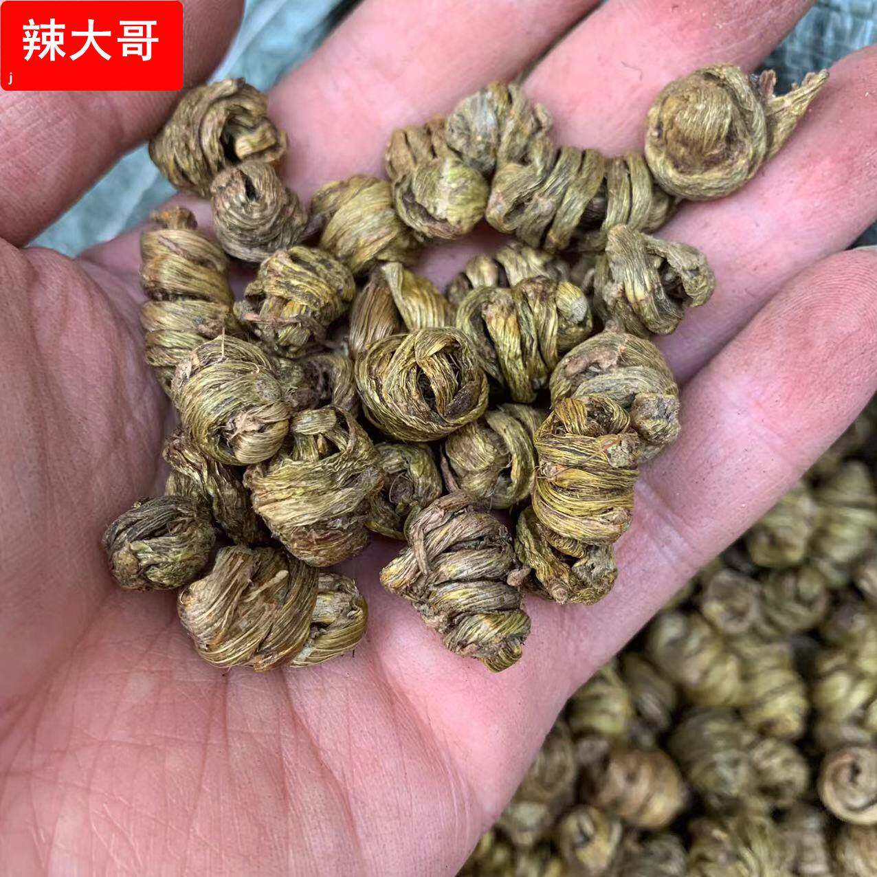 水草石斛枫斗颜色绿天宫石斛枫斗 水草枫斗干条鲜条石斛粉