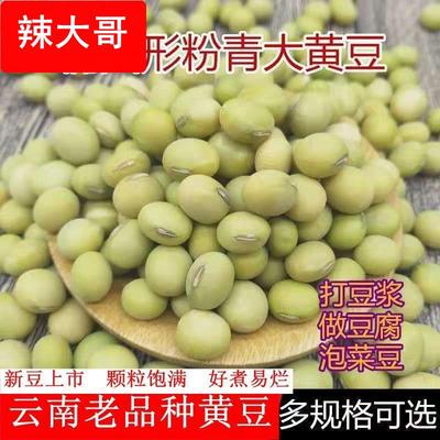 新黄豆5斤 农家自种粉青大黄豆非转基因老品种青大豆青皮黄豆包邮