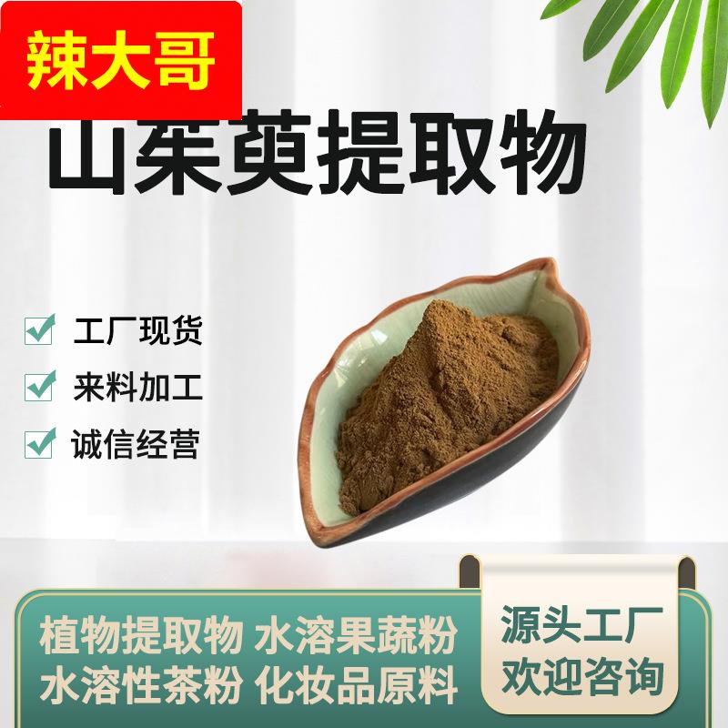 山茱萸提取物 10:1-50:1 山茱萸粉 水溶山茱萸粉 山茱萸喷干粉
