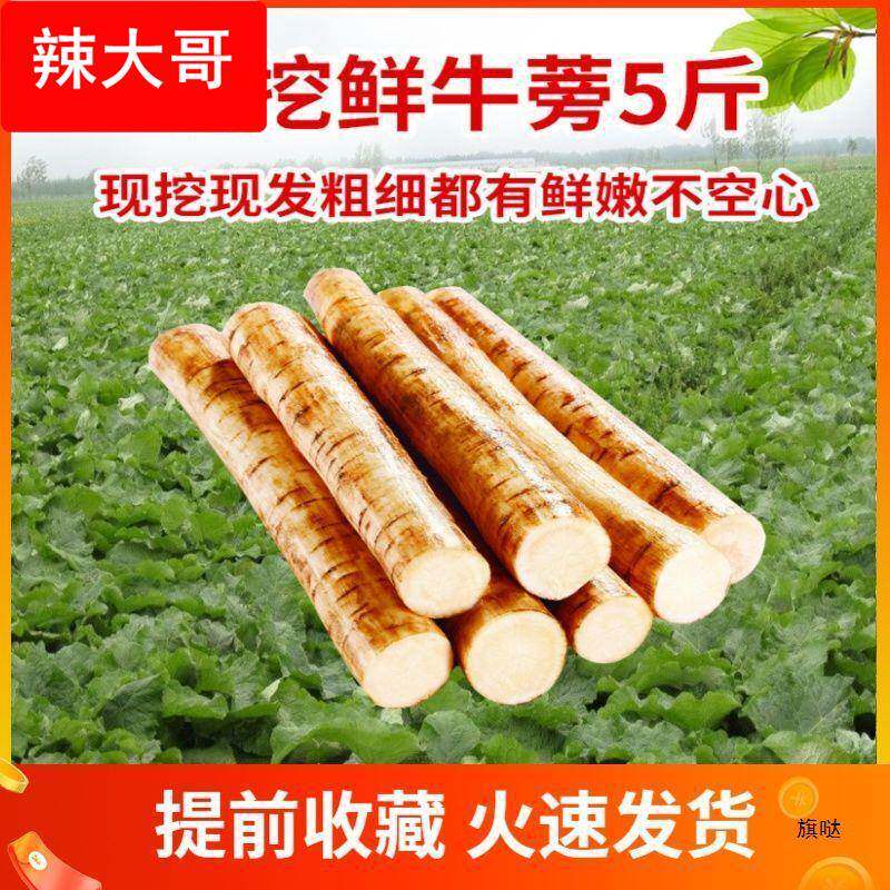 【包邮】现挖牛蒡1-5斤装徐州天地根产品直销生鲜